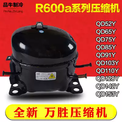 Wansheng R600a 134a series compressor Household refrigerator freezer refrigeration compressor universal repair accessories