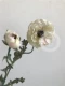 Mô phỏng Camellia Châu Âu giả hoa lụa hoa nhân tạo hoa Châu Âu trang trí nhà trang sức mô hình trang trí phòng mô hình - Hoa nhân tạo / Cây / Trái cây