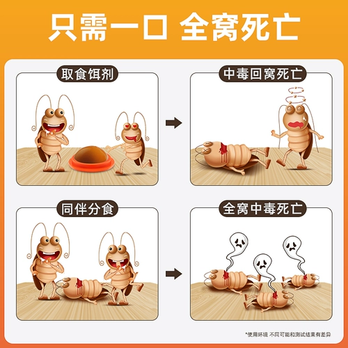 Медицина с тараканом одно гнездо размещено на большой и маленькой кухне, безболезненный артефакт туса с тараканом, мощный немоидный ядовитый дом