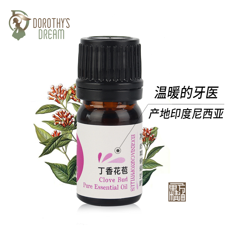 (Indonesian native) clove flower bud unilateral essential oil 5ml teeth healthy fangs oil