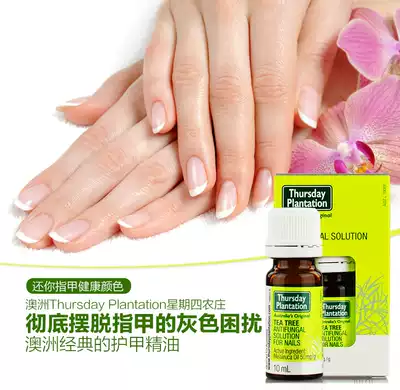 New arrival Australia Thursday tea tree essential oil nail repair solution anti-fungal nail health