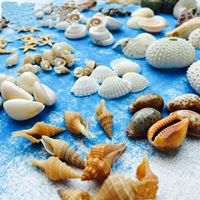 Натуральная морская аромотерапия, свеча, пляжный аксессуар, DIY