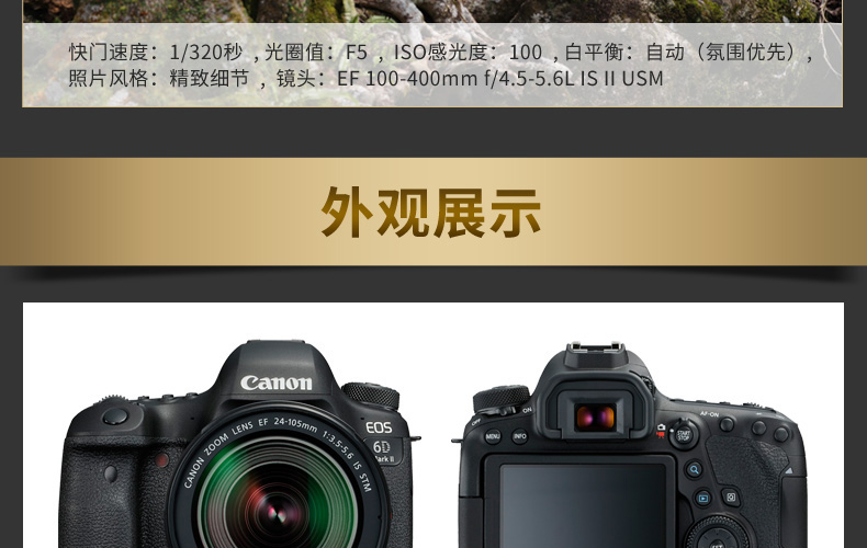 Canon Canon EOS 6D Mark II 6D2 duy nhất cơ thể chuyên nghiệp HD travel SLR máy ảnh kỹ thuật số