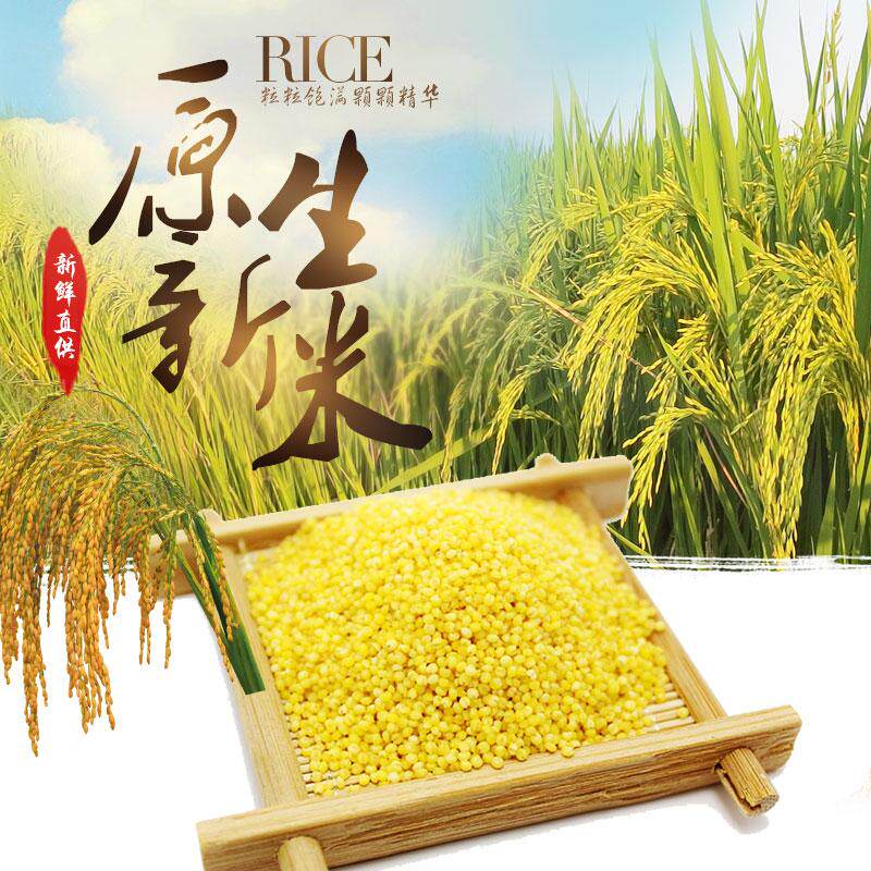 Shanxi millet Lingchuan county Xihedi farmhouse 5 jin bags of yellow millet miscellaneous grains small yellow rice confinement rice baby rice