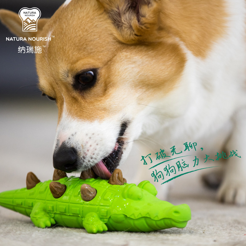 Nareisch dinosaur crocodile dog snacks Puzzle Companion Toy Grinding is easy to absorb and digest