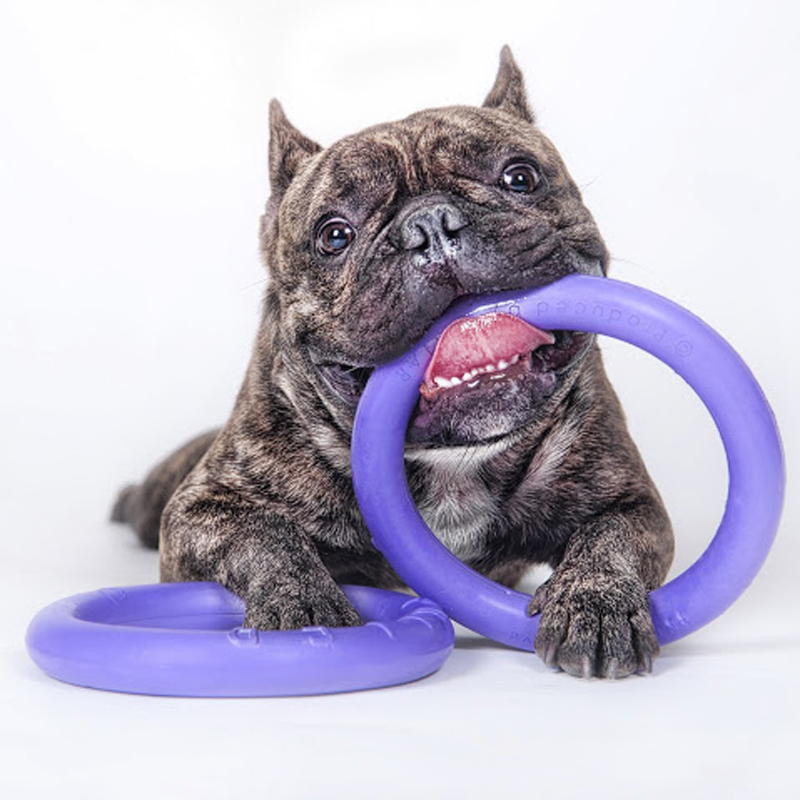 Ukraine imports PULLER Purple Ring Pet Dog Tug-bite Interaction Flying Saucer Flying Disc Toy Floating