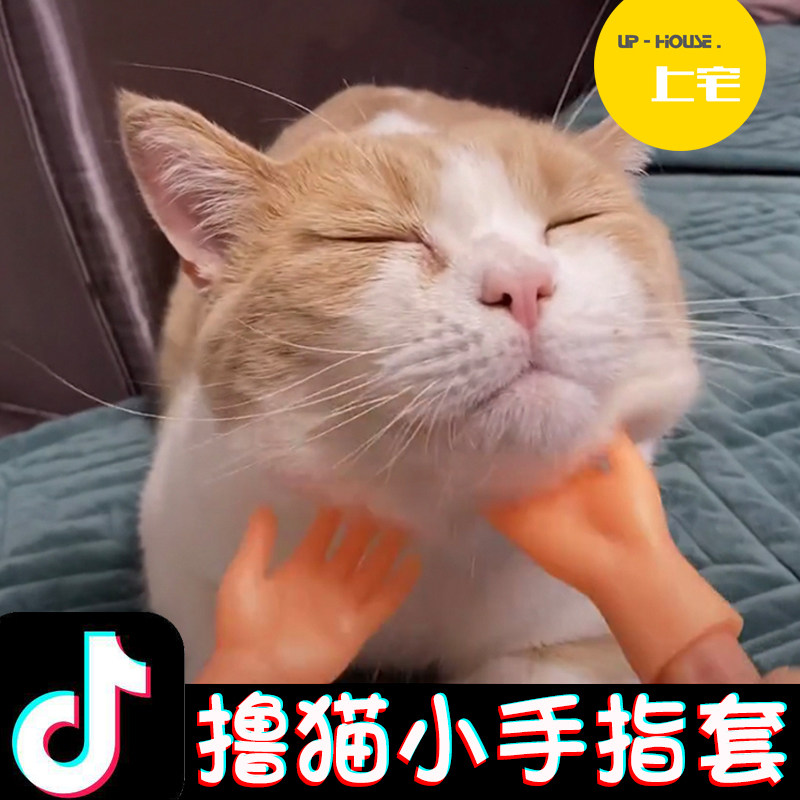 Upper house / Tikyin and the cat artifact tease cat stick to engage in mini - handed fingers and cat toys