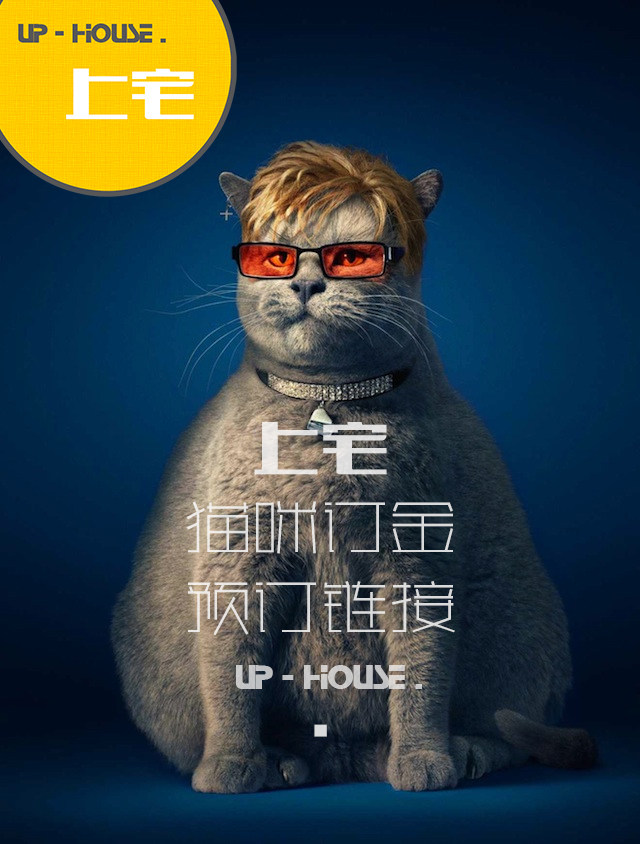 Shang Zhai▲Deposit link▲American Shorthair American Shorthair Silver Tabby▲British Shorthair British Shorthair Blue Cat Live