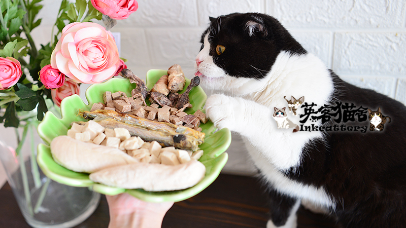 Yingke Pet mèo ăn nhẹ đông khô Thịt mèo khô và thức ăn cho chó Đồ ăn nhẹ đông khô thịt tươi nguyên chất để làm thịt gà 50g - Đồ ăn nhẹ cho mèo cá đóng hộp