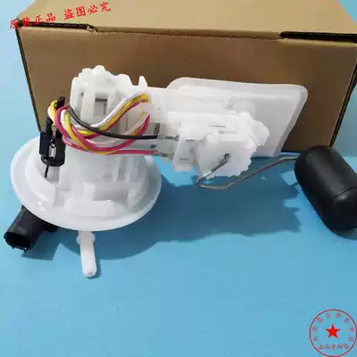 Applicable to Yamasho YS125 150 YBR Tianjian 150 Gasoline Pump Fuel Pump Assembly Imported Brushless Pump