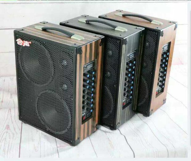 Hộp âm thanh HS1001C loa guitar chuyên nghiệp loa phổ dụng hiệu suất treble rõ ràng và tươi sáng loa vi tính microlab