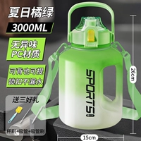 [Стиль детской сумки] Летний оранжевый зеленый 3,0 л [может вместить горячую воду] + утолщенный ПК