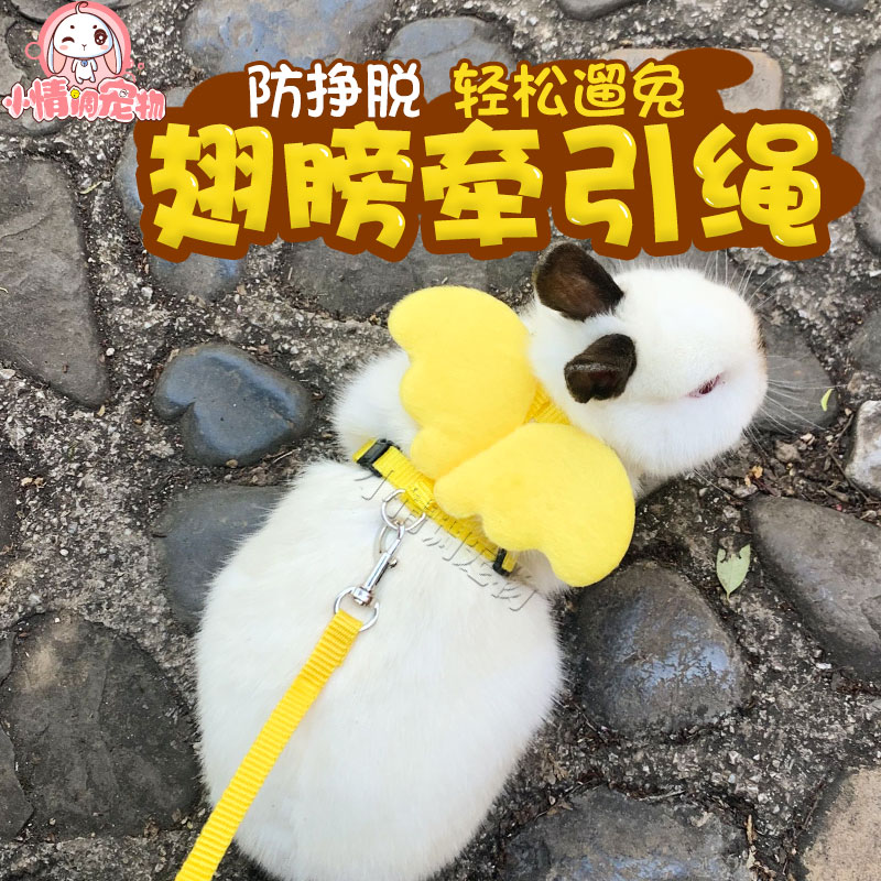 Rabbit Traction Rope Holland Pig Fried Rabbit Traction Rope Rabbit Rope Anti-Escape Rabbit Supplies Vest Type Dragon Cat Rope