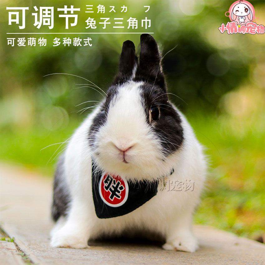 Pet Rabbit's Triangle Towel Rabbit Clothing Scarves scarves Scarlet with Puppy Triangular Towel Scarves