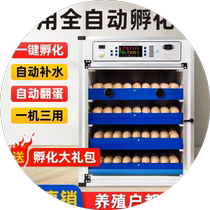 (manufacturer direct sales) Incubator for small and medium household automatic small chicken incubators Luding chicken hatchery eggs
