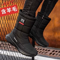 N50 Black Red