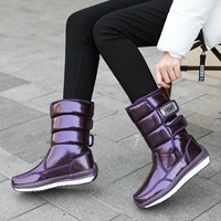 G66-Purple