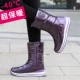 [704-紫色]