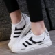 A21-3-White Black