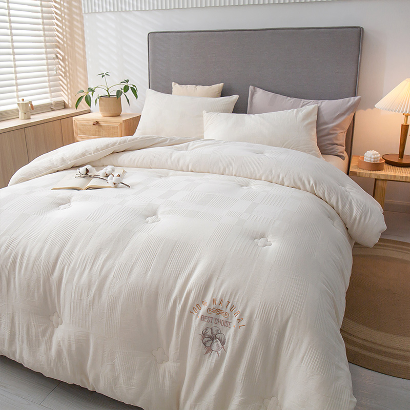 A class of Xinjiang cotton is thickened in winter and warm spring and autumn cotton core pure cotton 220 x240 quilt season