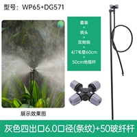 Серые четырехлетки (полоса) вставьте 50 см WP65+DG571