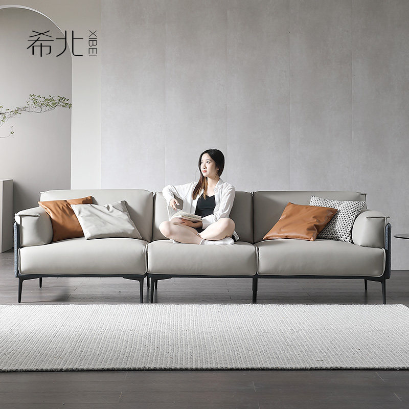 Light and luxurious technology fabric sofa minimalist modern net red luxury small family room High-footed tech leather sofas