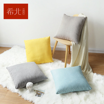 Xibei furniture Sofa supporting low back care down pillow Silk pillow