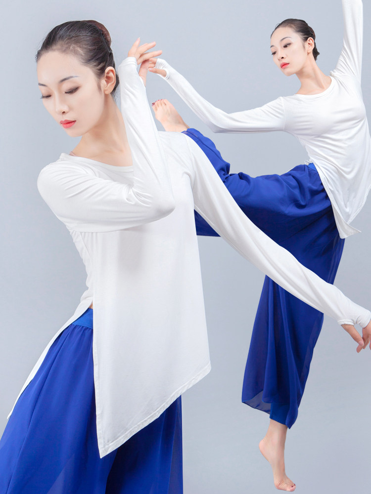 Dance practice suit Female Latin long sleeve body Classical body Ballet training Bodybuilding Modern dance wide leg pants suit