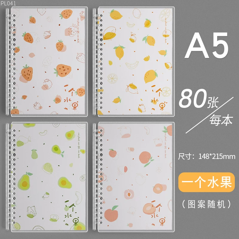 Removable Spiral Notebook, A5/B5 Refillable Tear-Off Sheets, 21×14.5 cm Compact