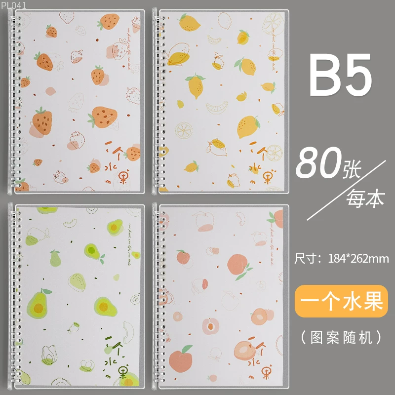 Removable Spiral Notebook, A5/B5 Refillable Tear-Off Sheets, 21×14.5 cm Compact