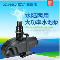 Songbao WP3000 12000 20000 30000DW Amphibious Large Flow Cycle Fish Pond Filter Water Pump
