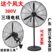 Industrial fan Floor fan 220 380V high power strong wall fan Factory workshop BARBECUE shaking head horn fan