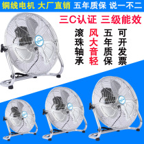 Lying fan Household powerful electric fan High power silent desktop industrial fan Floor fan Commercial sitting climbing fan