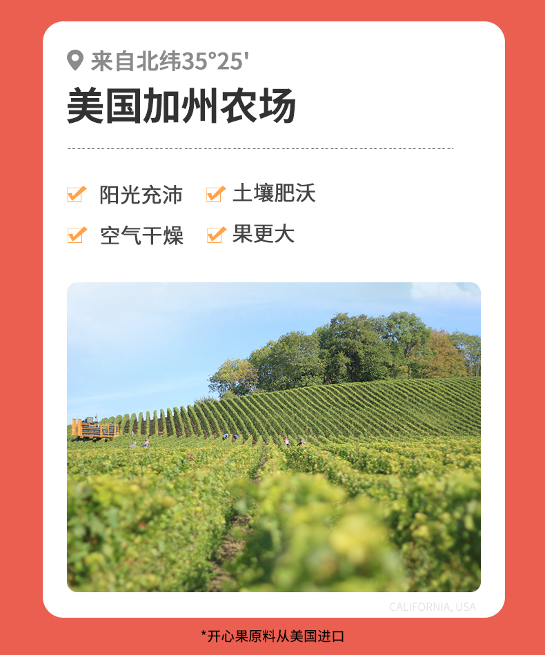 天虹牌 美国加州 原味开心果 4斤礼盒装 图5