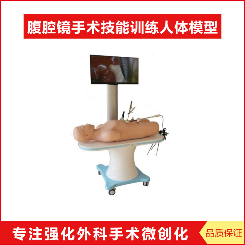 腹腔镜手术技能训练人体模型 外科微创手术训练模拟人 盲肠阑尾