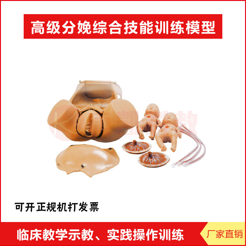 厂家直销 高级分娩综合技能训练模型 会阴护理 妇科女性助产模型