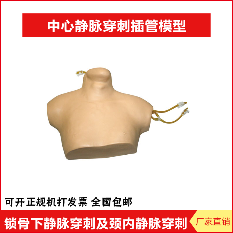 中心静脉穿刺插管模型 付解剖结构 锁骨下静脉穿刺及颈内静脉穿刺