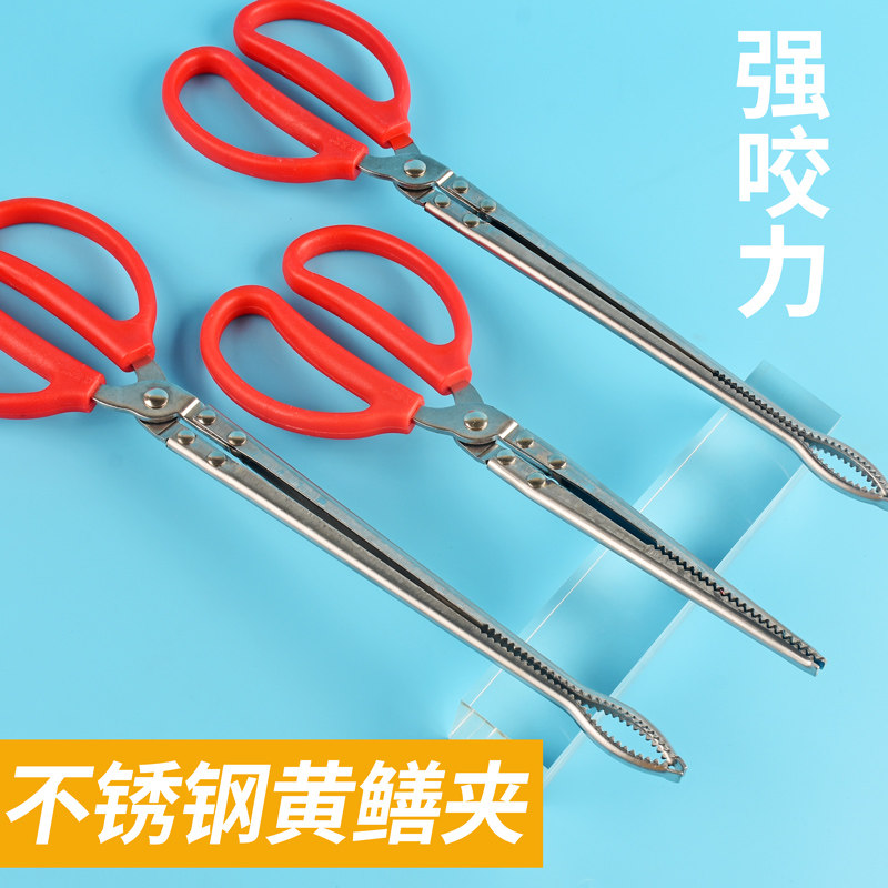 Finless eel clip eel fish clip Catch Crab Thever Slime Pliers Anti Slip Anti Slip Stainless Steel Long Fish Catcher Thicken