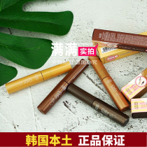 South Koreas Eti House Aria House Lasting Eyebrow Cream Waterproof and sweat-proof without makeup.