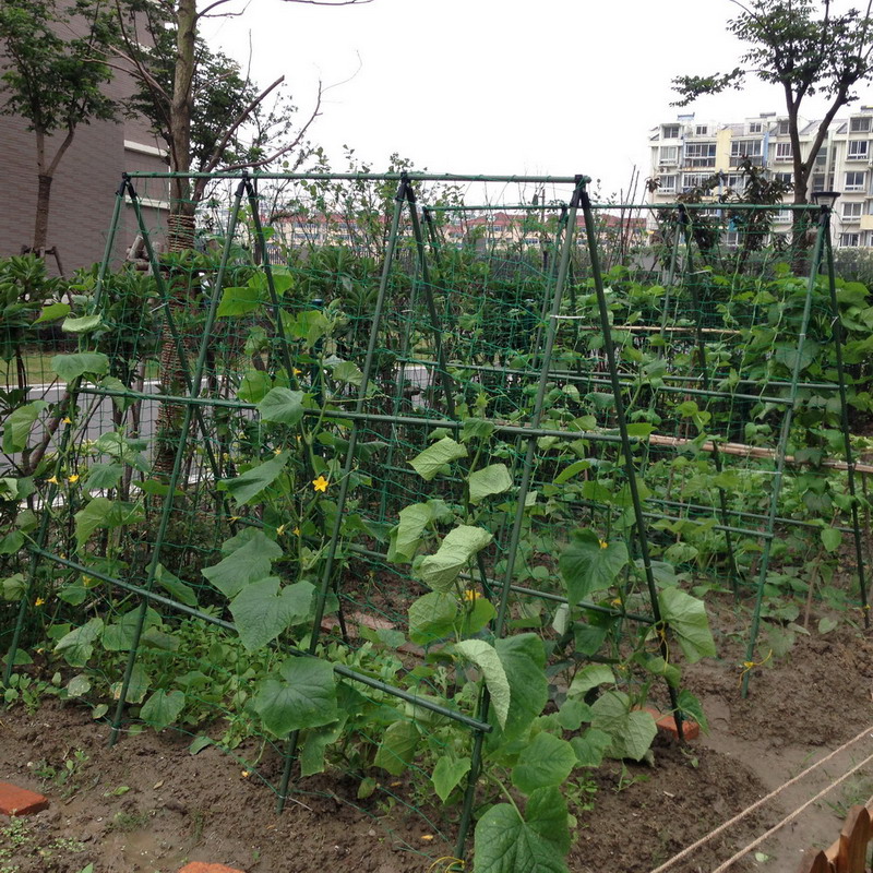 園藝支柱支架套裝豆角架黃瓜架子花支柱配爬藤網菜園蔬菜支架種植