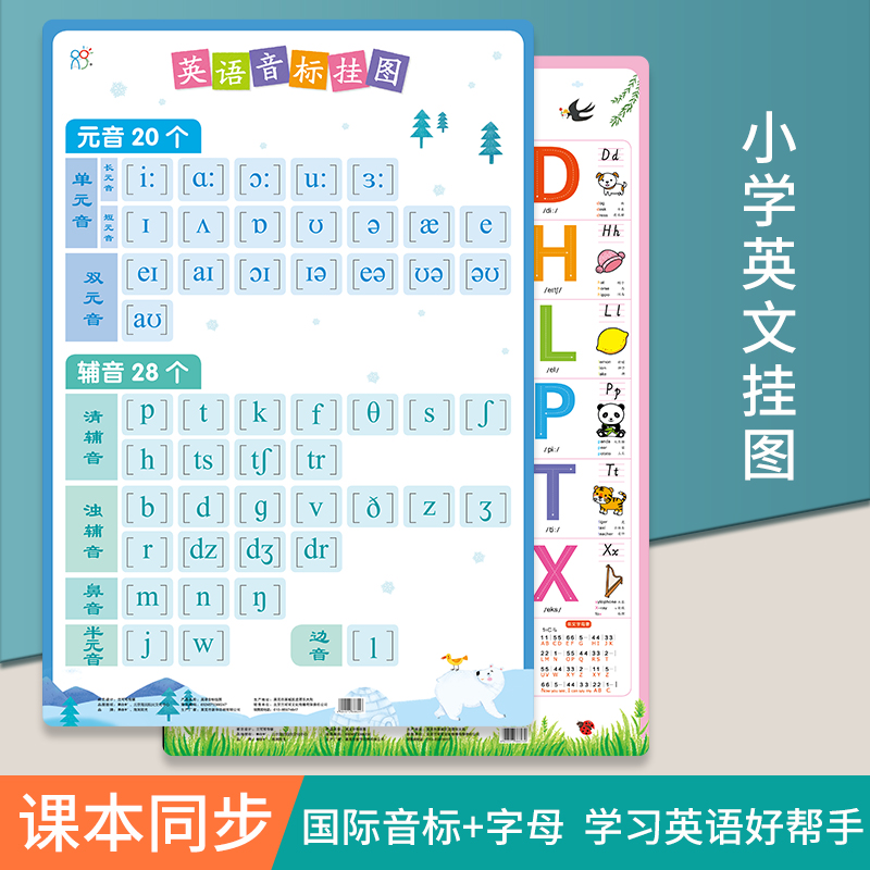 Primary school students preschool English alphabet training wall chart English early education enlightenment learning enlightenment phonetic wall stickers large wall chart