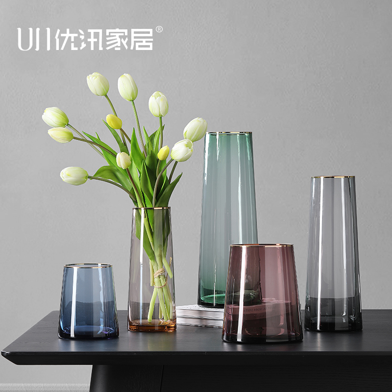 Nordic light luxury gold edge glass transparent color Vase ornaments flower arrangement living room table table hydroponic hydroponic flower