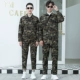 Камуфляж 03 серия (вверху+брюки)