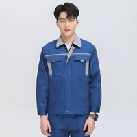 【Новая версия】 Hailan Top