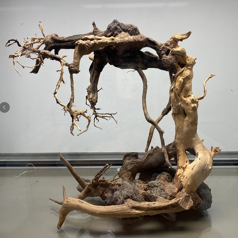 Manual Splicing Skeletons Water Grass Built View Trees Small Fish Tank Sloth Fish Tank Basil Decorations Art Real Dull Wood