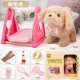Fun Play Edition [Golden Retriever] Отправить Qiuqian+6 -Piece Set