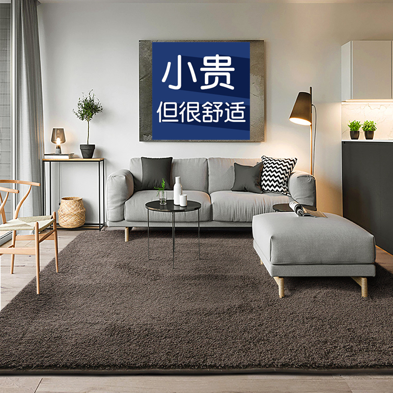 Carpet Living Room Tea Table Blanket Bedroom Bedside Blanket Bed Front Bed Under Bed Full Of Room Light Luxury Custom Home Nordic Pure Color