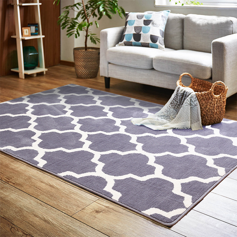 Break Code) Special Price Clearance Carpets Light Lavish Home Living Room Tea Table Sofa Minima Nordic Bedroom Bedside Blanket