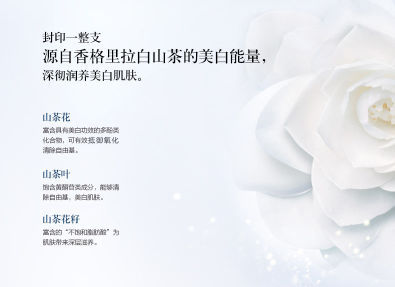 冰清玉润皓白无瑕深透美容液_06