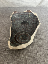 Song porcelain Jizhou kiln paper-cut applique phoenix butterfly pattern tea cup porcelain shard specimen porcelain collection old kiln research tea